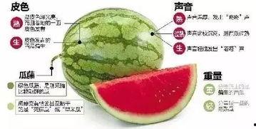 琼海网红吃瓜群微信