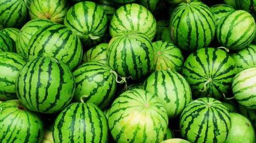 网爆911吃瓜网视频,带你走进事件背后真相