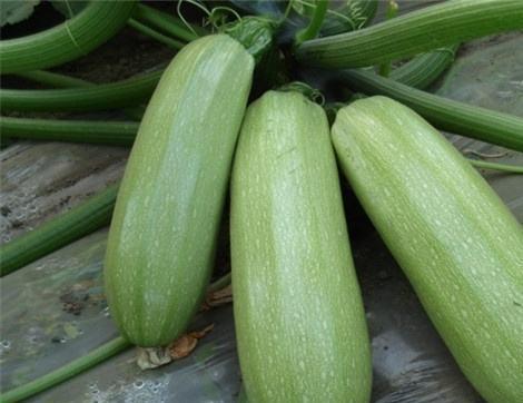 网红吃瓜有什么好处,娱乐大众的甜蜜陷阱