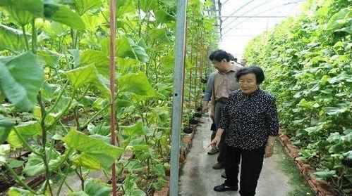 江山网红吃瓜事件是真的吗,真相揭秘还是网络谣言？