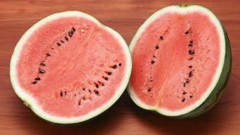 安徽网红八卦吃瓜,揭秘吃瓜群众的狂欢盛宴