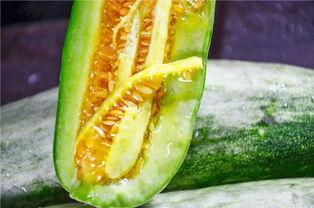 吃网红瓜的公众号,跟随吃瓜群众，一探究竟