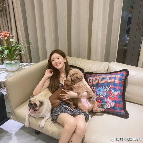 吃瓜网戴露,吃瓜网一姐的崛起之路