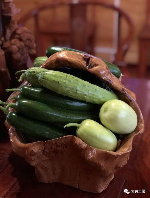 718网红吃瓜,揭秘娱乐圈幕后真相