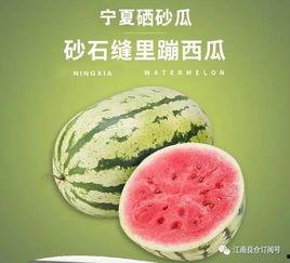 南昌网红吃瓜,揭秘城市美食圈的热辣故事