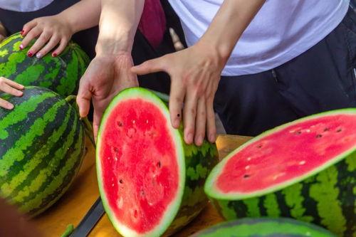 学院吃瓜和网红吃瓜,一场别开生面的吃瓜盛宴