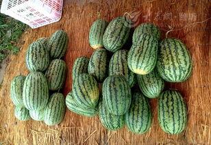 吃瓜网爆最新事件潍坊,吃瓜网揭露最新事件，真相令人震惊！