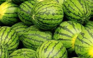 吃瓜网每日大赛mrd,精彩对决，谁将脱颖而出？