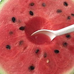 网红吃瓜视频推荐一下吧,揭秘娱乐圈幕后故事