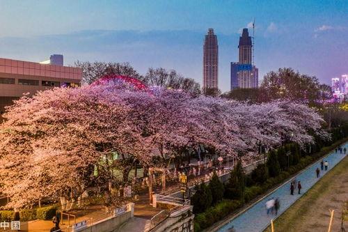 网红爆料吃瓜合集,吃瓜合集深度解析